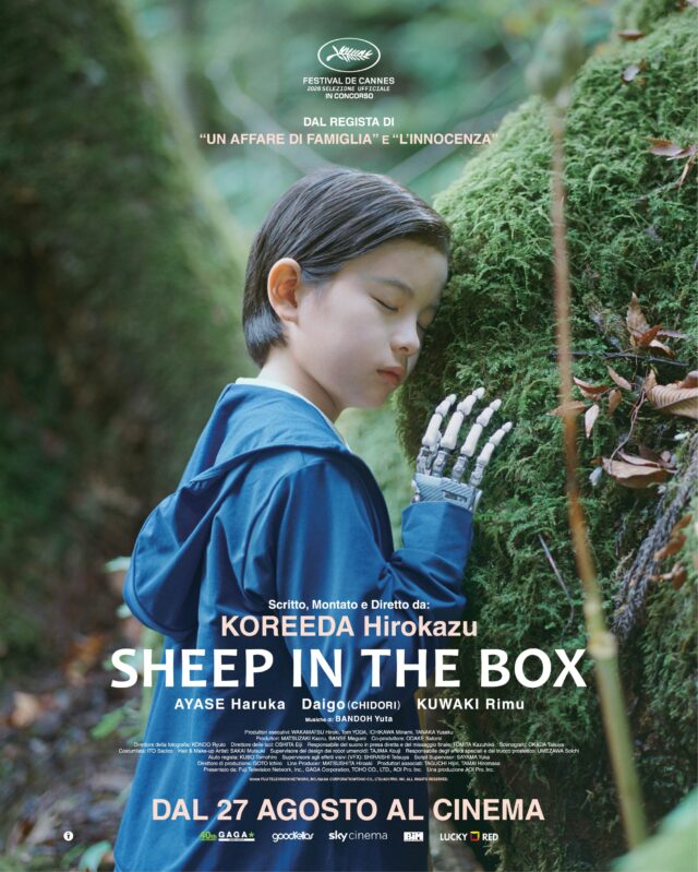 SHEEP IN THE BOX